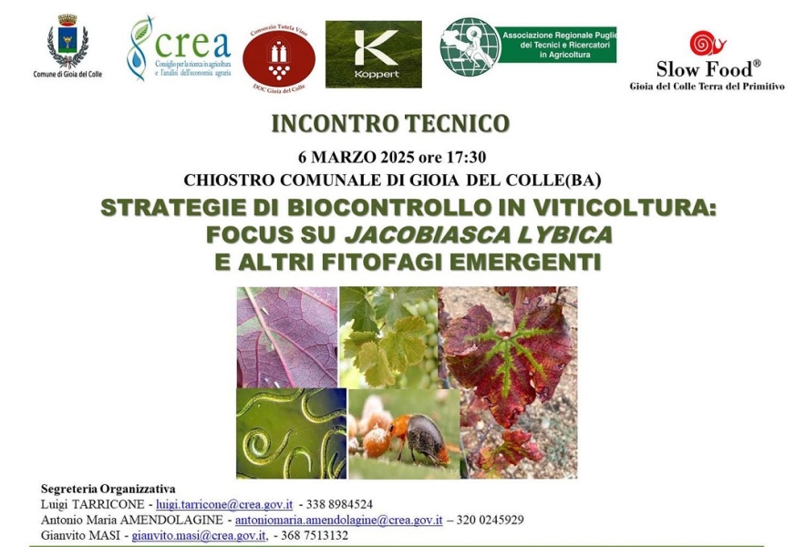 gioiadelcolleor-6mar25